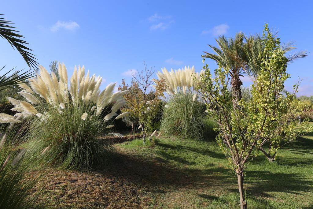 Riad Al Mendili Private Resort&Spa Had Abdallah Rhiat Esterno foto