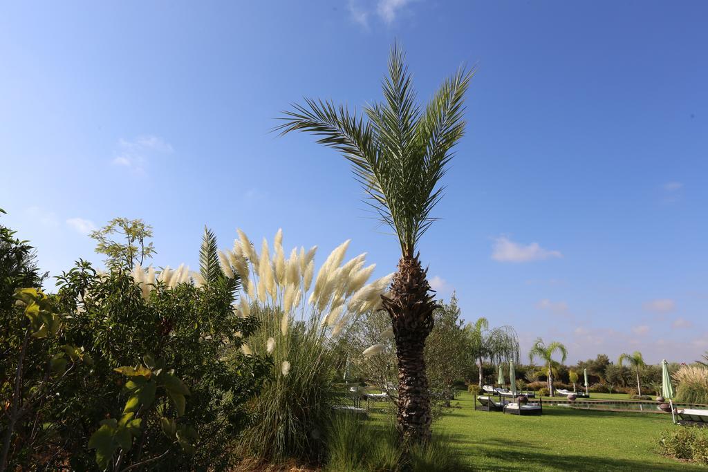 Riad Al Mendili Private Resort&Spa Had Abdallah Rhiat Esterno foto