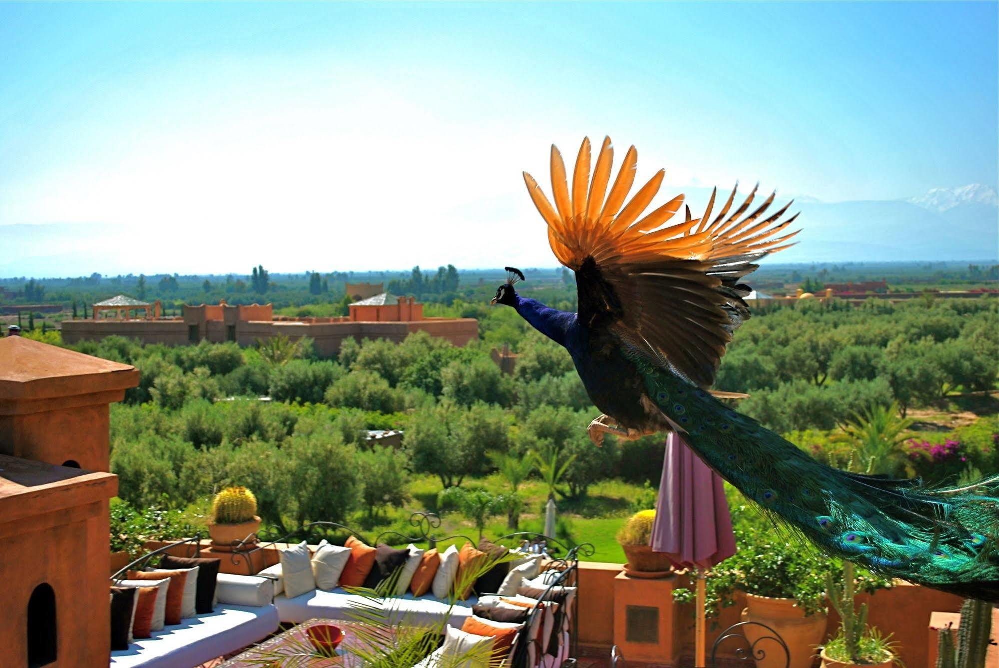 Riad Al Mendili Private Resort&Spa Had Abdallah Rhiat Esterno foto